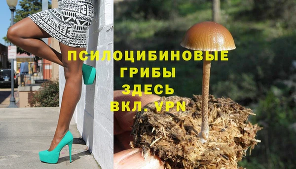 круглые Осинники