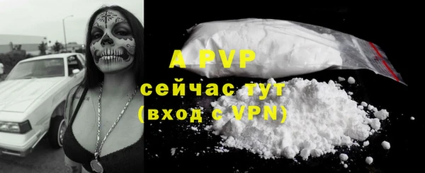 круглые Осинники